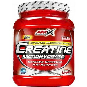 Amix Creatine monohydrate 500 g obraz