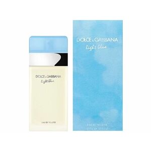 Dolce & Gabbana Light Blue - EDT 25 ml obraz