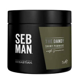 Sebastian Professional Pomáda na vlasy SEB MAN The Dandy (Shiny Pommade) 75 ml obraz