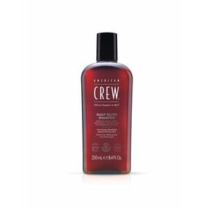 American Crew Denní šampon pro šedivé vlasy (Daily Silver Shampoo) 250 ml obraz