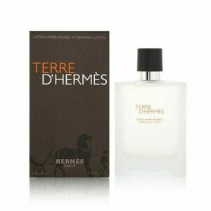 Hermes Terre D´ Hermes - voda po holení 100 ml obraz