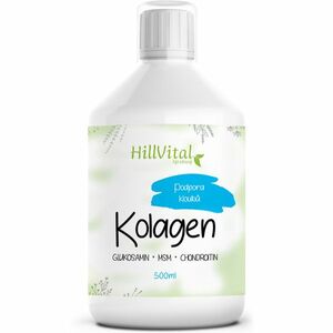 HillVital | Kloubní výživa Kolagen - podpora kloubů, 500 ml obraz