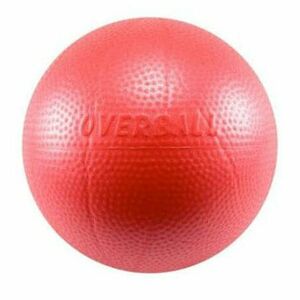 OVER BALL Rehabilitační míč průměr 23 cm obraz