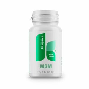 KOMPAVA MSM 500 mg 120 kapslí obraz
