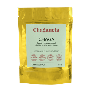 Chaganela Extrakt ze sibiřské čagy 100 g obraz