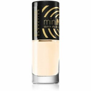 Eveline Cosmetics Mini Max rychleschnoucí lak na nehty odstín 684 5 ml obraz