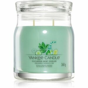 Yankee Candle Cucumber Mint Cooler vonná svíčka Signature 368 g obraz