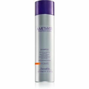 FarmaVita Amethyste Hydrate vyživující šampon pro suché vlasy 250 ml obraz