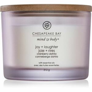 Chesapeake Bay Candle Mind & Body Joy & Laughter vonná svíčka I. 312 g obraz