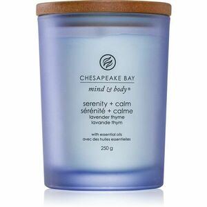 Chesapeake Bay Candle Mind & Body Serenity & Calm vonná svíčka 250 g obraz