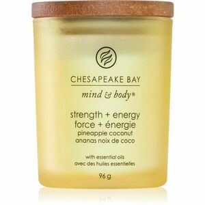 Chesapeake Bay Candle Mind & Body Strength & Energy vonná svíčka 96 g obraz
