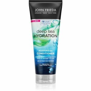 John Frieda Deep Sea Hydration hydratační kondicionér pro suché a normální vlasy 250 ml obraz