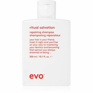 EVO Repair Ritual Salvation posilující šampon pro poškozené a barvené vlasy 300 ml obraz