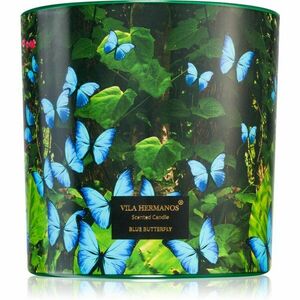 Vila Hermanos Jungletopia Blue Butterfly vonná svíčka 620 g obraz