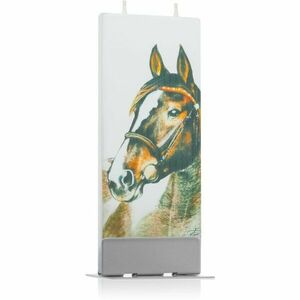 Flatyz Nature Horse dekorativní svíčka 6x15 cm obraz