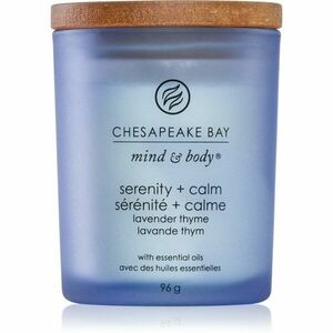 Chesapeake Bay Candle Mind & Body Serenity & Calm vonná svíčka 96 g obraz
