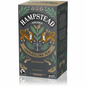 Hampstead Tea London obraz