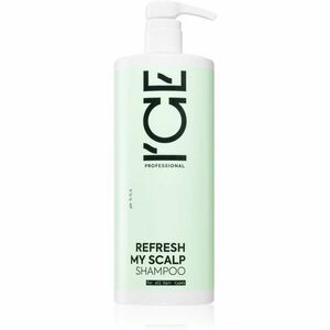 Natura Siberica ICE Professional Refresh My Scalp čisticí detoxikační šampon 1000 ml obraz