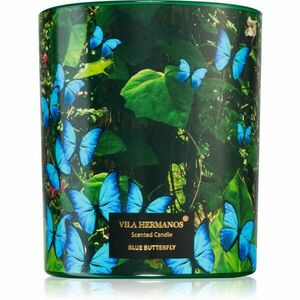 Vila Hermanos Jungletopia Blue Butterfly vonná svíčka 200 g obraz