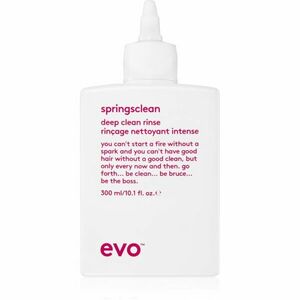 EVO Curl Springsclean hloubkově čisticí šampon pro vlnité a kudrnaté vlasy 300 ml obraz