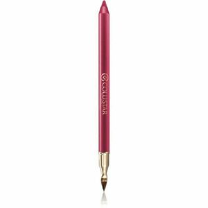 Collistar Professional Lip Pencil dlouhotrvající tužka na rty odstín 113 Autumn Berry 1, 2 g obraz