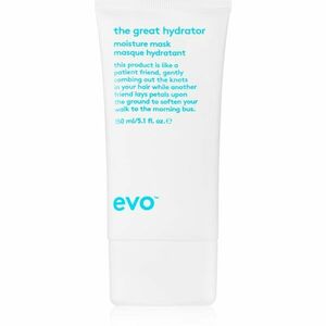 EVO Hydrate The Great Hydrator hydratační maska pro lesk suchých a křehkých vlasů 150 ml obraz