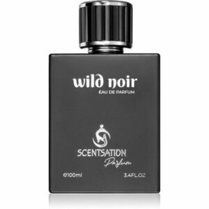 Scentsations Wild Noir parfémovaná voda pro muže 100 ml obraz