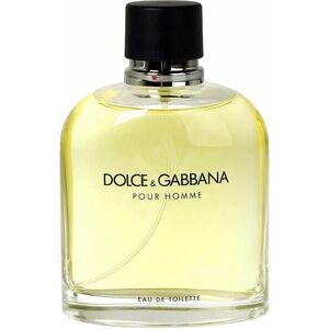Dolce & Gabbana Pour Homme - EDT TESTER 125 ml obraz