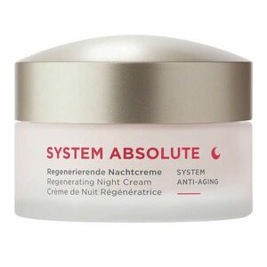 ANNEMARIE BORLIND Noční krém SYSTEM ABSOLUTE System Anti-Aging (Regenerating Night Cream) 50 ml obraz