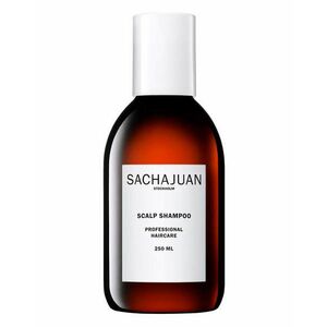 Sachajuan Zklidňující šampon proti lupům (Scalp Shampoo) 100 ml obraz
