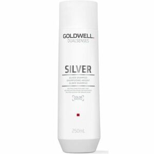Goldwell Šampon pro blond a šedivé vlasy Dualsenses Silver (Refining Silver Shampoo) 250 ml obraz