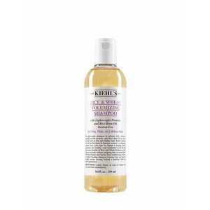 Kiehl´s Šampon pro objem a oživení vlasů (Rice & Wheat Volumizing Shampoo) 500 ml obraz