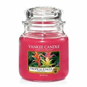 Yankee Candle Aromatická svíčka střední Tropical Jungle 411 g obraz