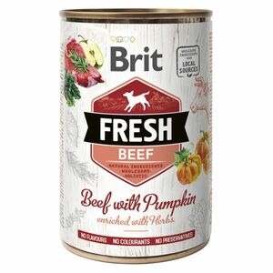 BRIT Fresh Beef with Pumpkin konzerva pro psy 400 g obraz