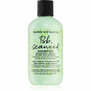 Bumble and bumble Seaweed Shampoo šampon na vlnité vlasy s výtažky z mořských řas 250 ml obraz