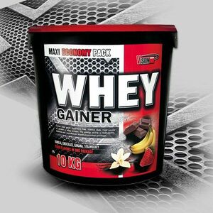 Whey Gainer - Vision Nutrition 2, 25 kg Kokos obraz