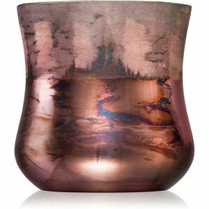 Paddywax Cypress & Fir Metallic Bronze Frosted Glass vonná svíčka 255 g obraz