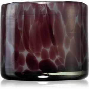 Paddywax Luxe Linen & Orris vonná svíčka 226 g obraz
