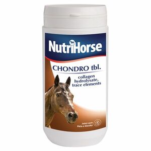 NUTRI HORSE Chondro pro koně tablety 1 kg obraz
