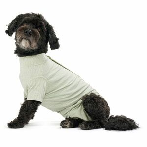 BUSTER Body Suit Step'n Go Dog Obleček pro psy zelený 1 ks, Velikost: XS obraz