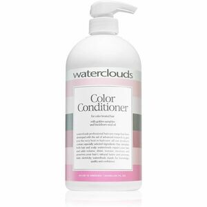 Waterclouds Color Conditioner hydratační kondicionér na ochranu barvy 1000 ml obraz