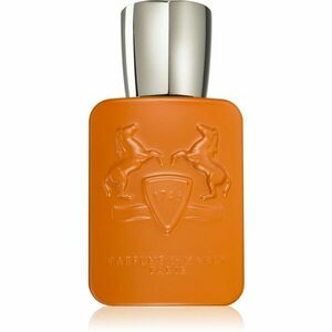 Parfums De Marly Althaïr parfémovaná voda pro muže 75 ml obraz