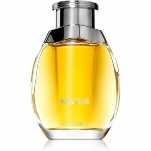 Swiss Arabian Khateer parfémovaná voda pro muže 100 ml obraz