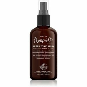 Pomp & Co Salted Tonic Spray slaný sprej na vlasy 100 ml obraz