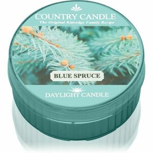 Country Candle Blue Spruce čajová svíčka 42 g obraz