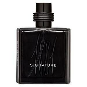 Cerruti 1881 Signature parfémovaná voda pro muže 100 ml obraz