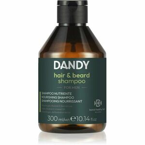 DANDY Beard & Hair Shampoo šampon na vlasy a vousy 300 ml obraz
