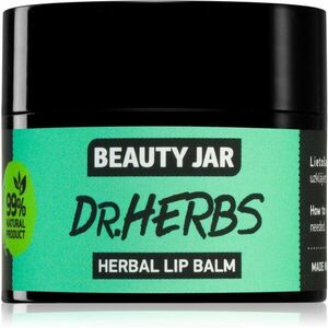 Beauty Jar Dr. Herbs balzám na rty s vyživujícím účinkem 15 ml obraz