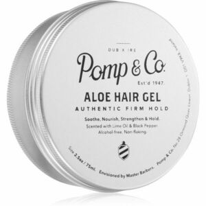 Pomp & Co Hair Gel Aloe gel na vlasy s aloe vera 75 ml obraz