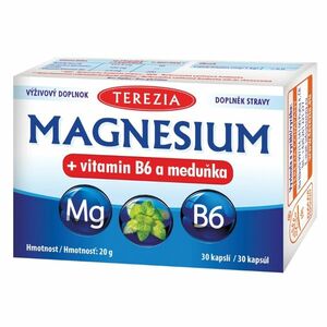 TEREZIA Magnesium + vitamin B6 a meduňka 30 kapslí obraz